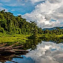 Making a Statement: Peru moves to integrate conservation with development